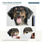Custom pet portrait photo upload and artwork preview example