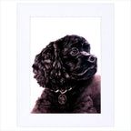 Personalized dog portrait keepsake in a clean white frame