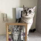 Cat beside a custom pet portrait frame displayed at home